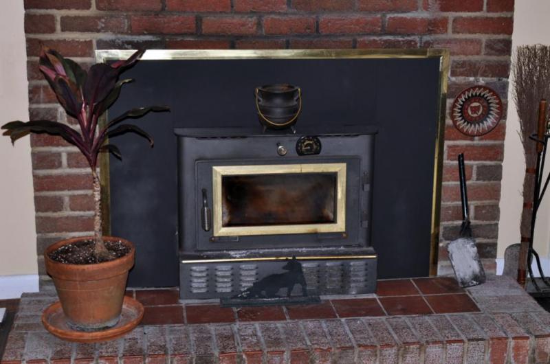 Comment r&eacute;parer efficacement votre insert de chauffage &agrave; Frans ?